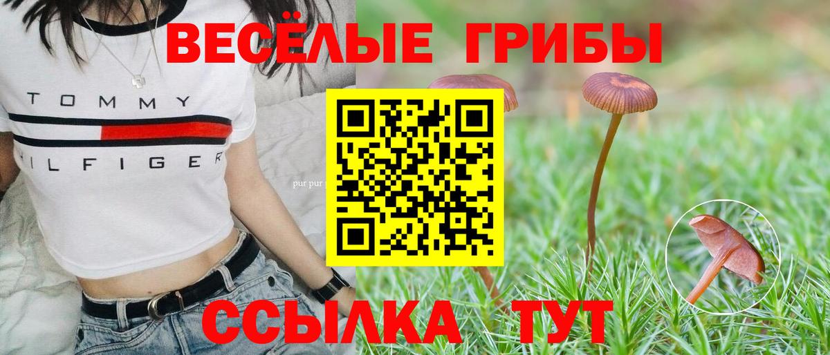 Аргун  Псилоцибиновые грибы ЛСД  Вход с VPN 