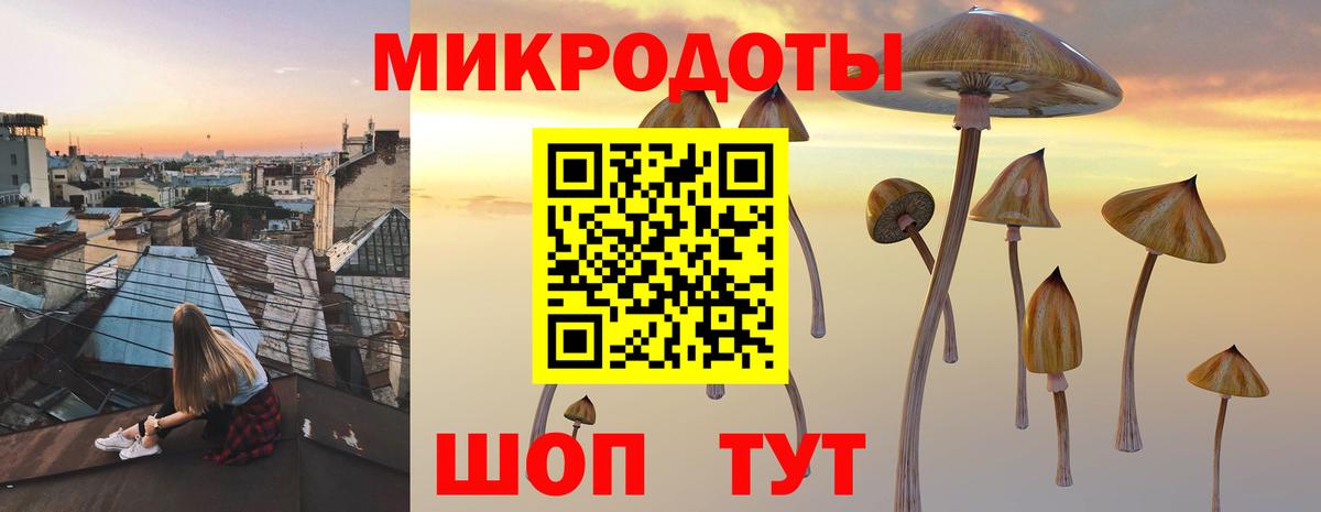 Псилоцибиновые грибы Psilocybine cubensis Аргун