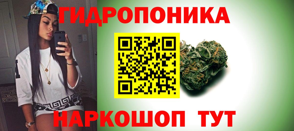 Бошки марихуана сатива  Шишки марихуана план  Марихуана VHQ  Аргун  Вход с VPN 